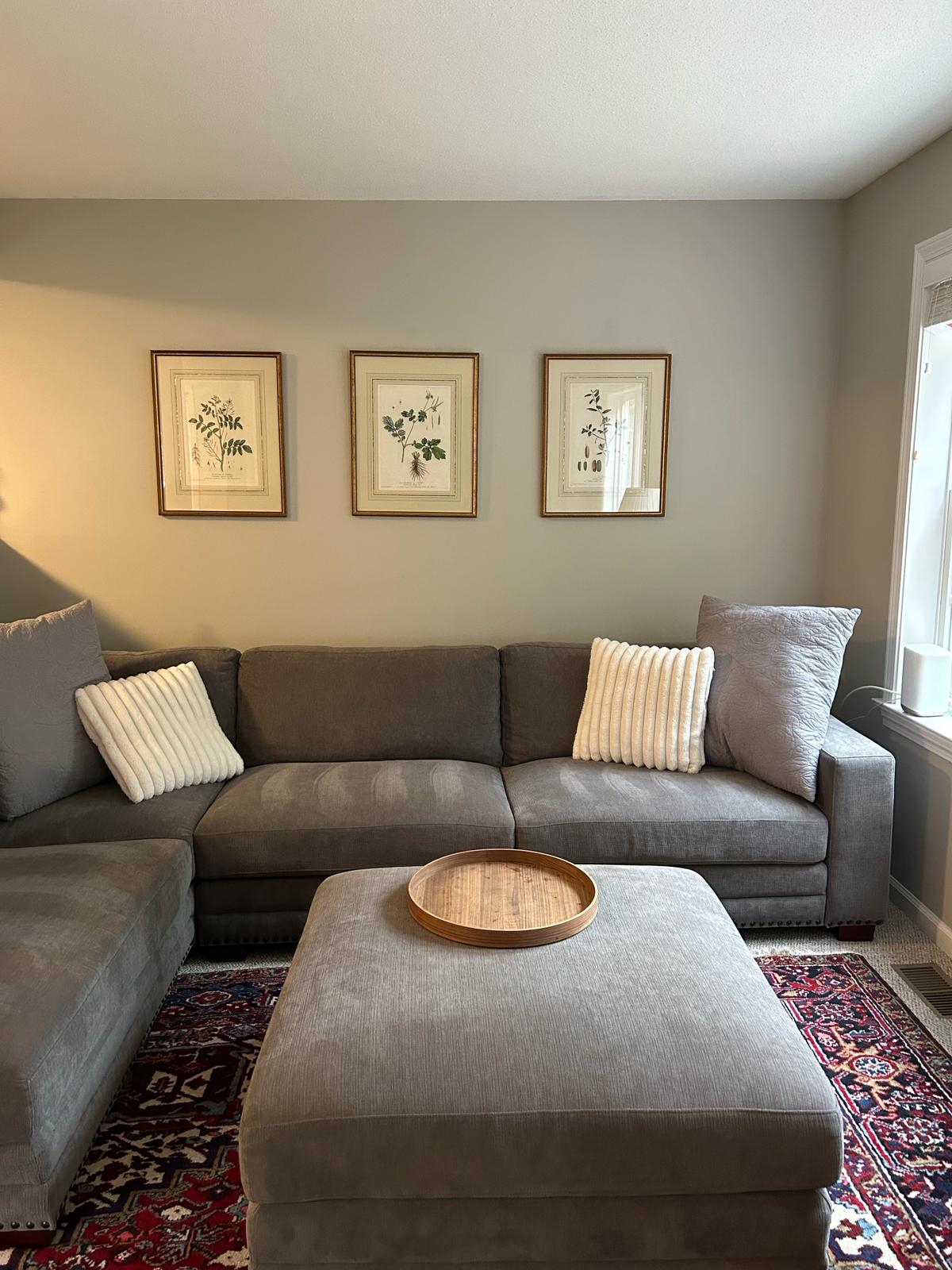 House cleaning services