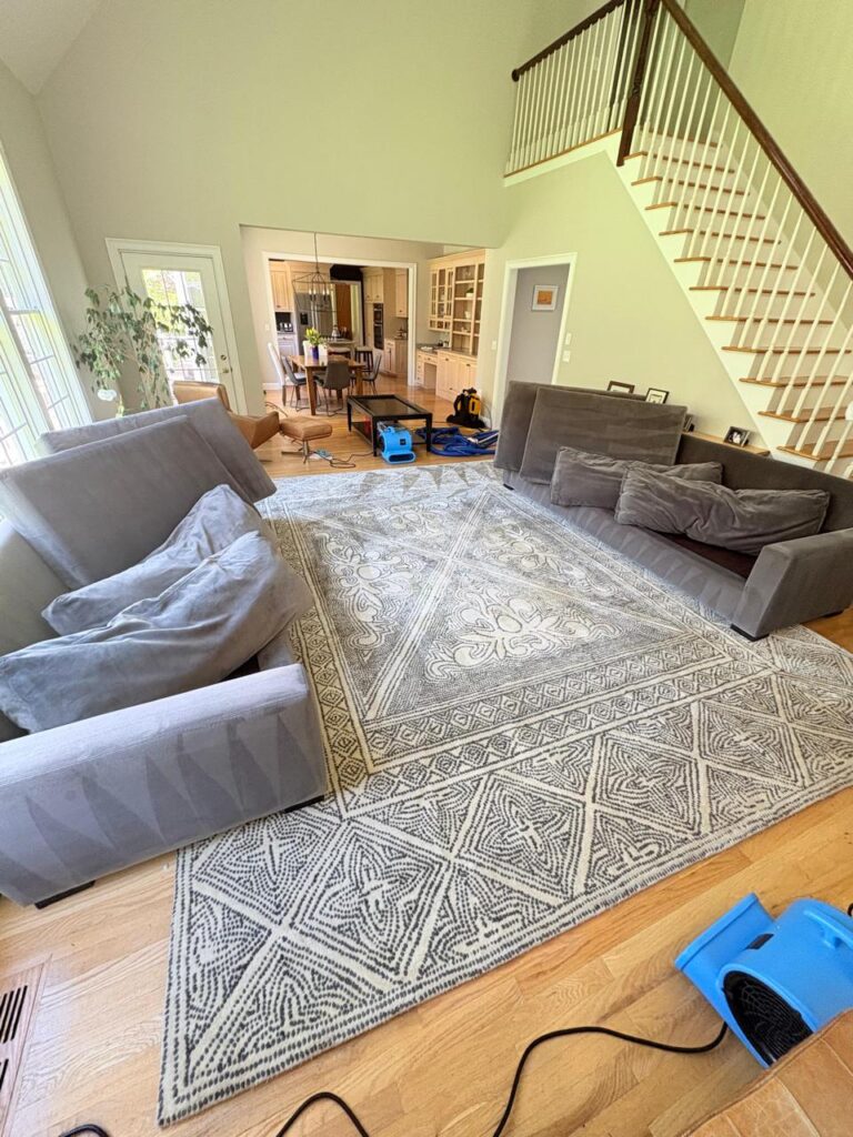 Area Rug Cleaning Services