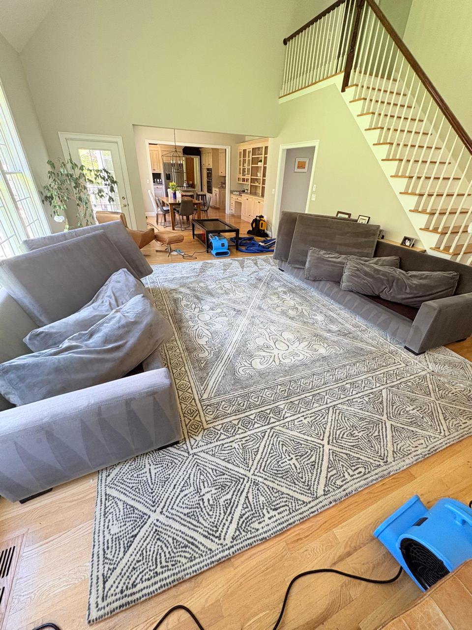 Carpet, Upholstery & Mattress Cleaning