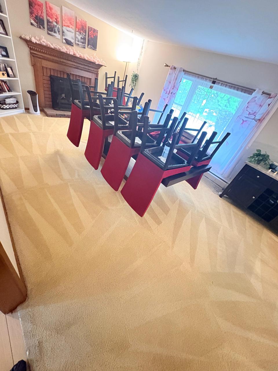Carpet, Upholstery & Mattress Cleaning