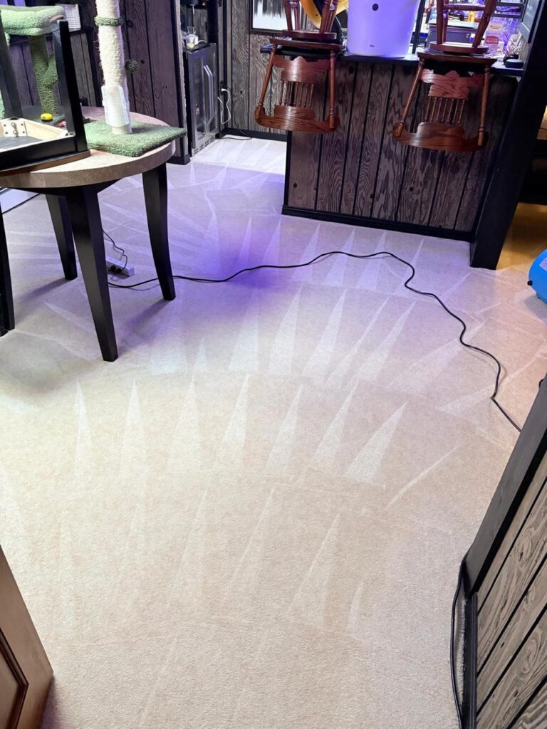 Deep Carpet Cleaning