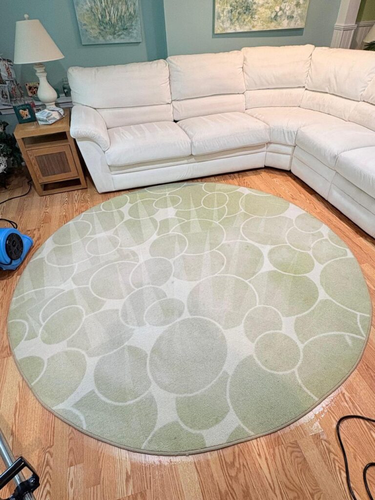 Deep Rug Cleaning Services