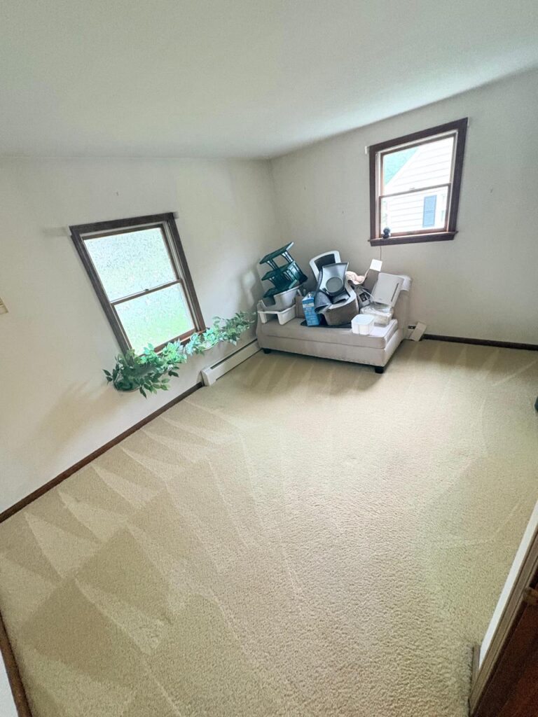 Professional Carpet Cleaning