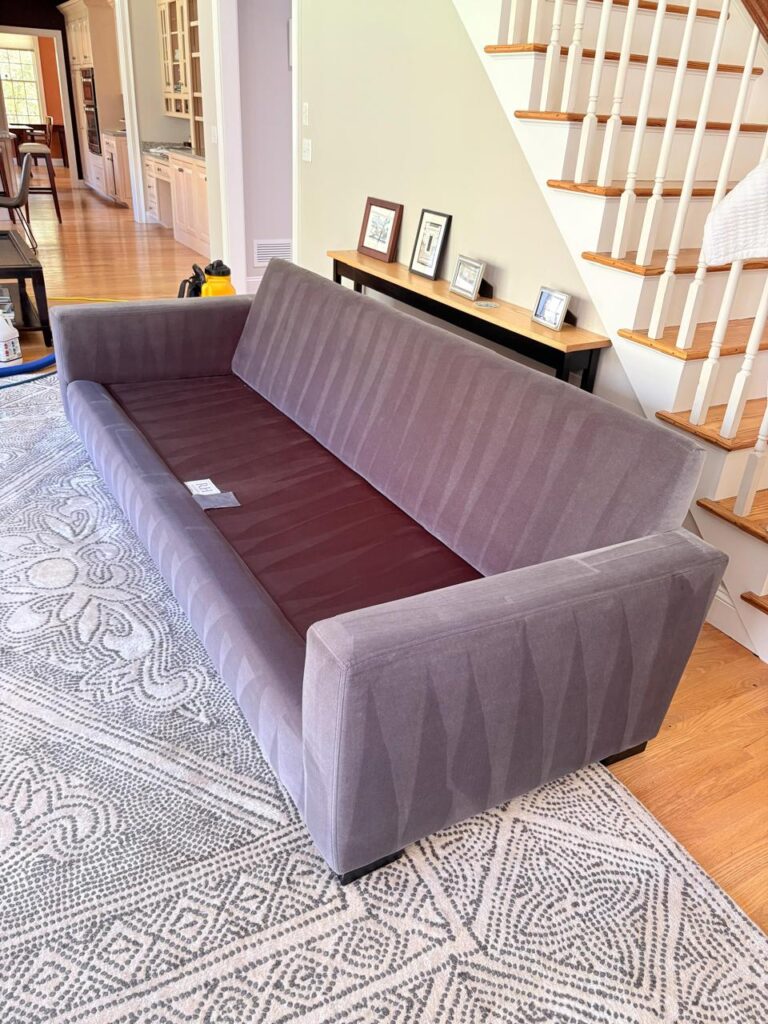 Professional Sofa Cleaning Services